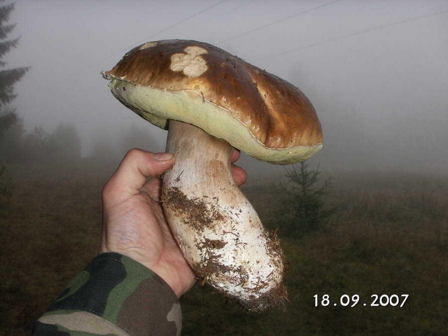 Villa Stara Horaren 2 Dobsina Esterno foto